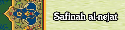 سفینه النجاة